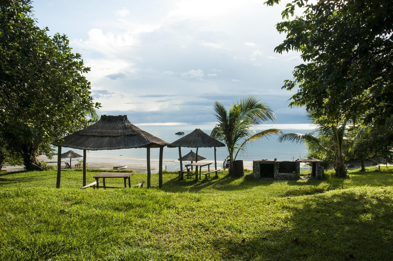 scenic view of fields and ocean with straw shelters and beach in the distance