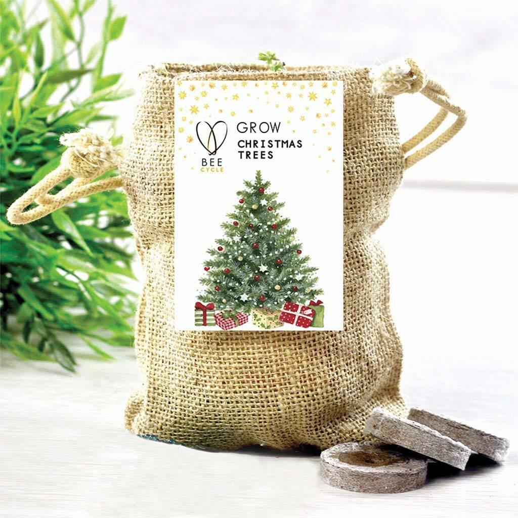 mini christmas tree wedding favors