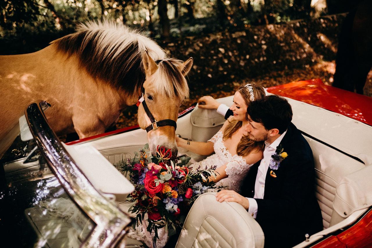 Bride and groom in a carriage with a horse