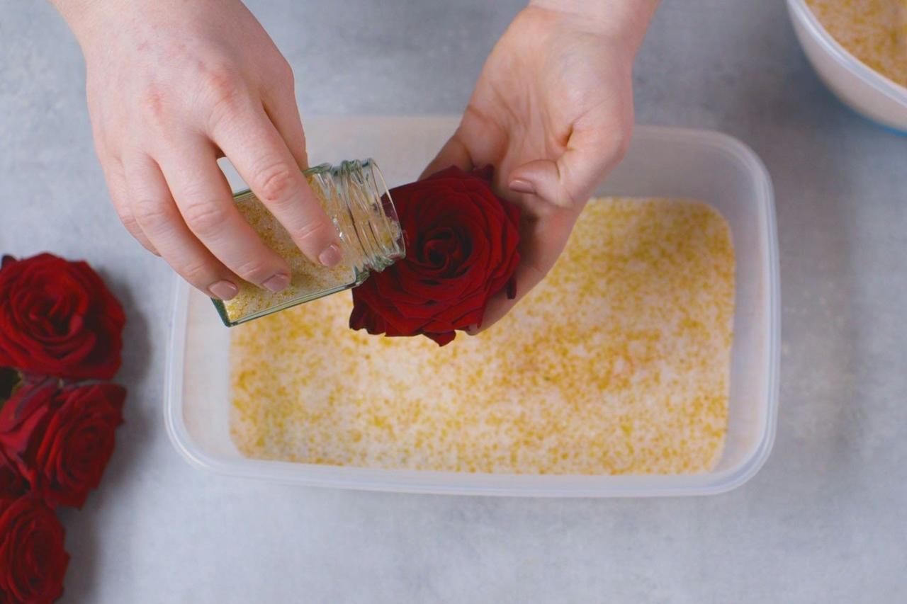 How to preserve rose petals?