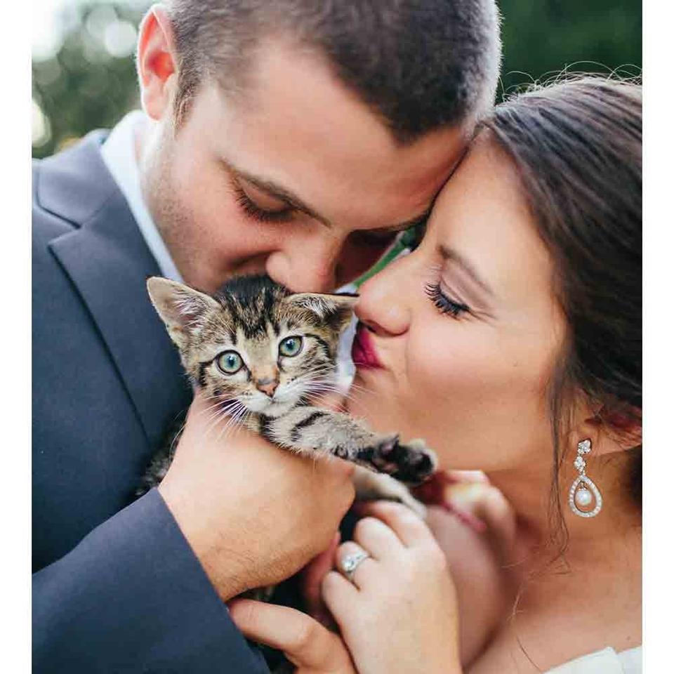 The Cutest Pictures Of Animals At Weddings - Hitched.co.uk - Hitched.co.uk