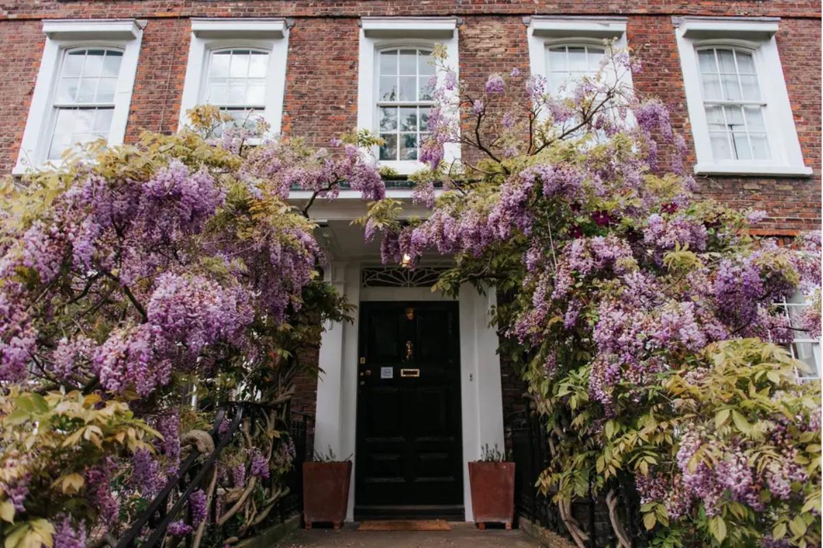  the front of a london wedding venue with wisteriagrowing around the entrance and a black front door