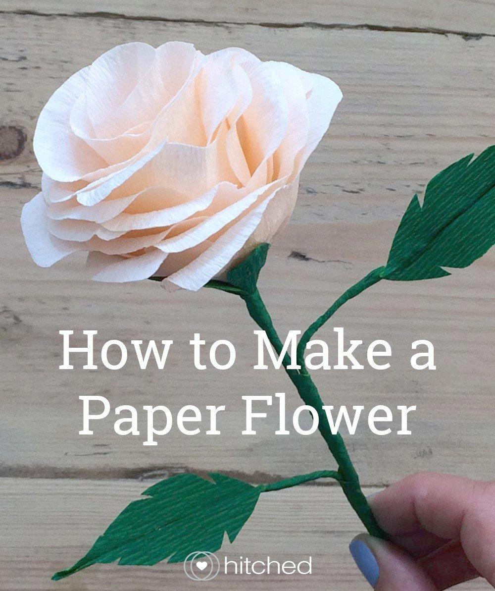 how to wrap a single rose in paper - Google 搜索  Diy bridesmaid gifts, How  to wrap flowers, Diy flowers
