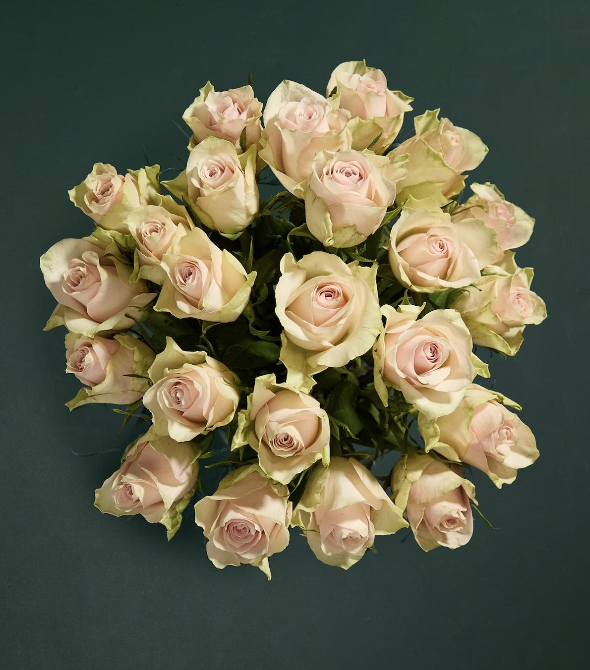white roses in abundance bouquet from M&S