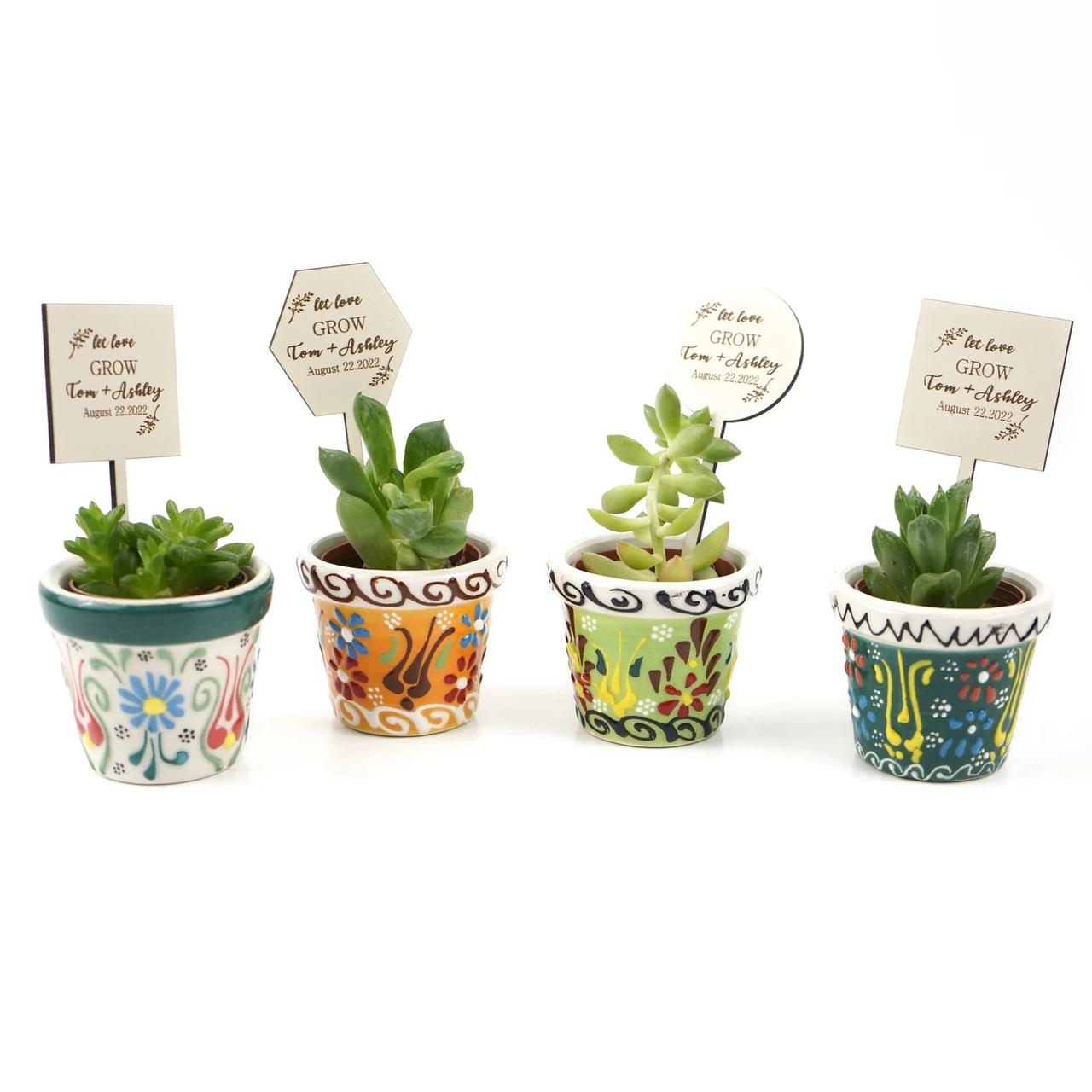 personalised succulent wedding favours