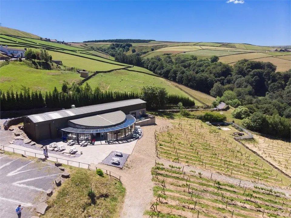 Aerial view of Holmfirth vineyard surrounded by rolling green fields