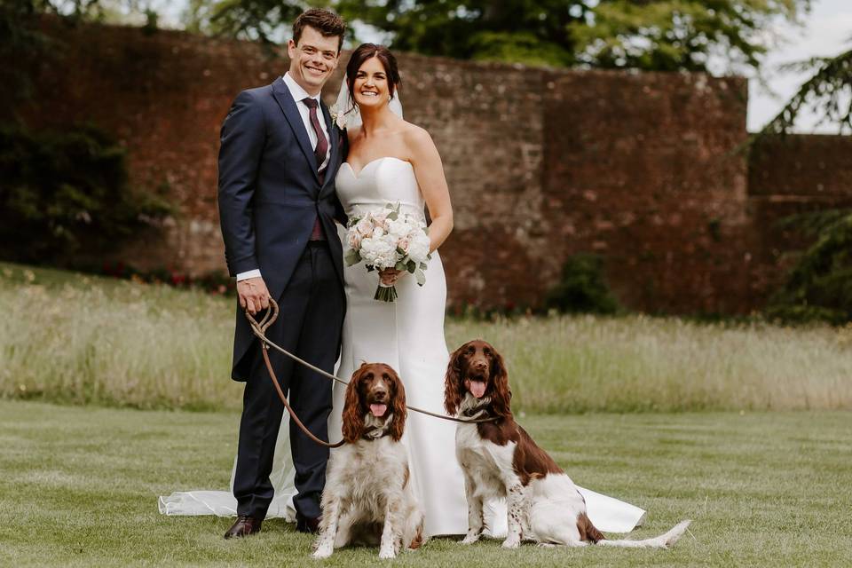 Married couple with two dogs at the wedding