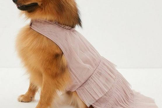 Doggy bridesmaid hot sale dresses