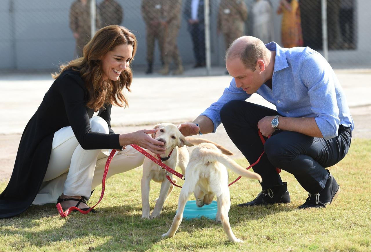 Kate Middleton and Prince William play with working dogs