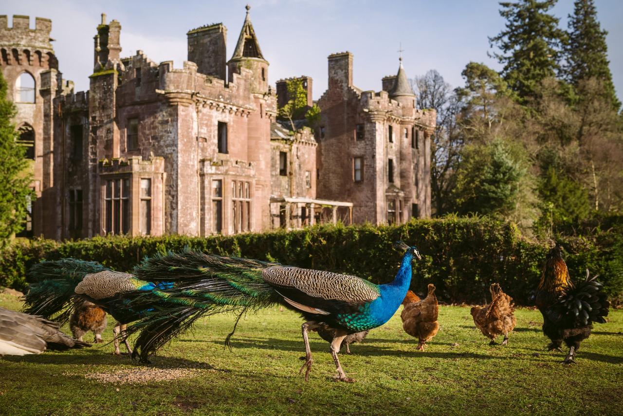Exterior of a castle wedding venue with peacocks and chickens in the foreground.