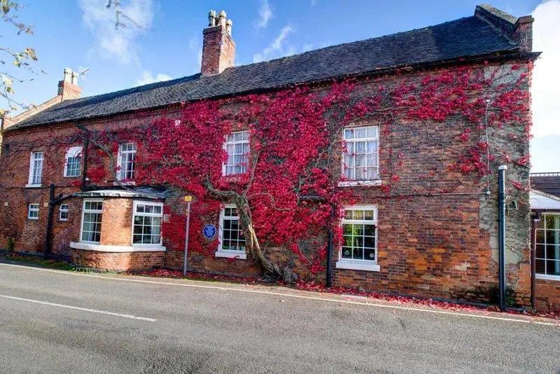 Red brick hotel exterior covered in pink florals