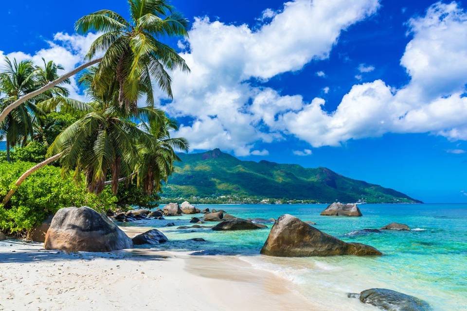 Seychelles Honeymoon: Your Complete Guide