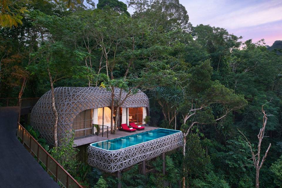 Unique hotel room with balcony and pool nestled in tree tops 