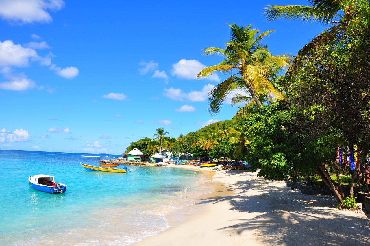 Luxury beach in Mustique, clear seas and small row boats in front of a palm tree, white sandy beach