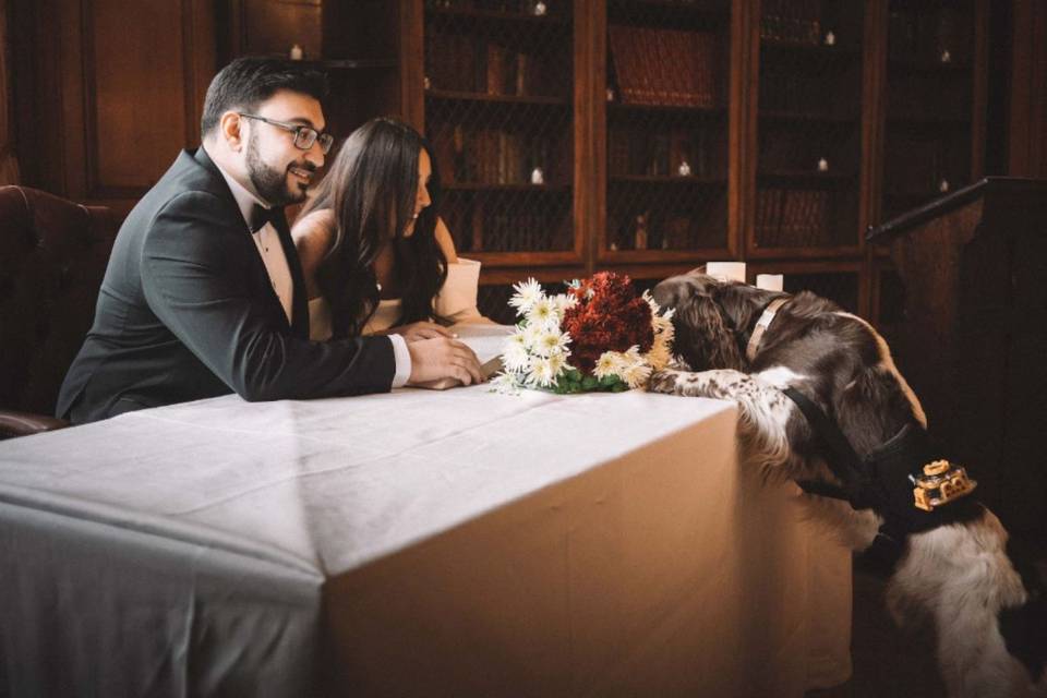 Couple sitting at the table to sign the register at their wedding whilst a dog leaps up and looks at them with his front paws on the table