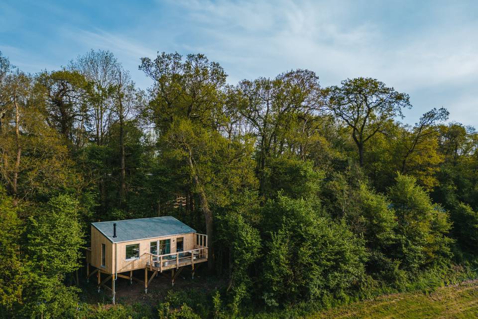 Wooden treehouse accommodation hidden away in the trees overlooking wetlands at Elmore Court