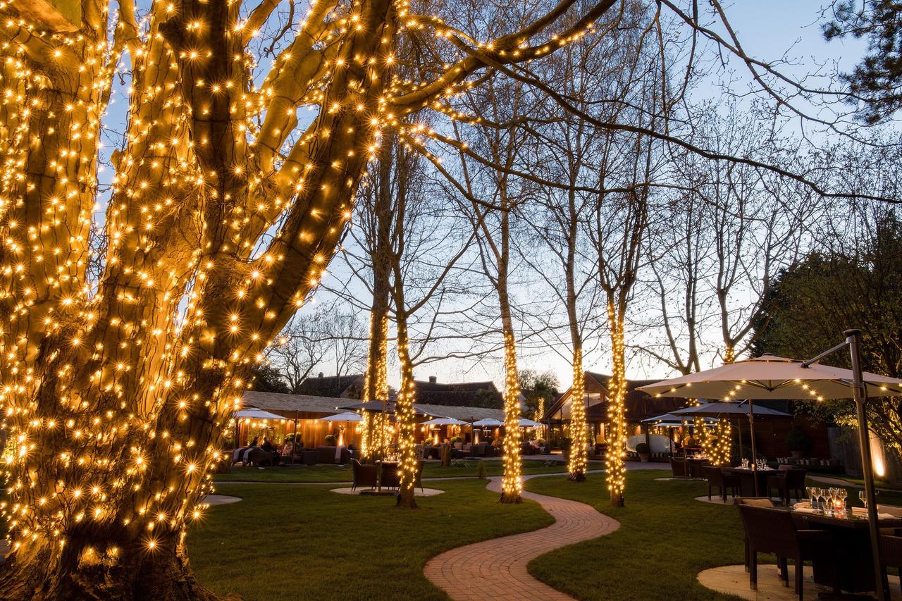 The outdoor setting at the crazy bear with a winding path and fairlights