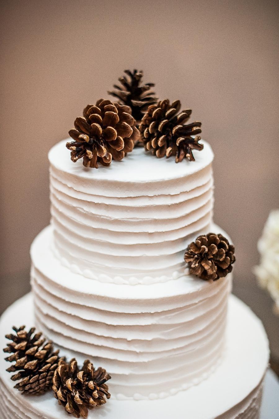 Textured simple wedding cake with pinecones