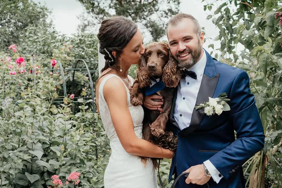 https://cdn0.hitched.co.uk/article/4492/original/1280/jpg/112944-dog-wedding-photo-1.jpeg