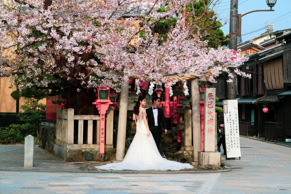 Japanese bride and groom in front of a small red shrine with a cherry blossom tree above them