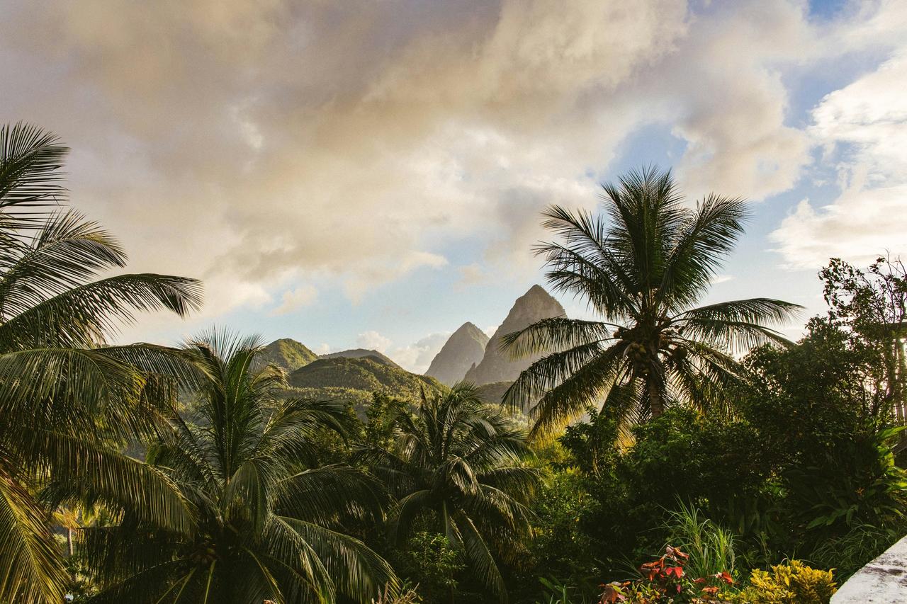 view of St Lucia rainforest and Pitons