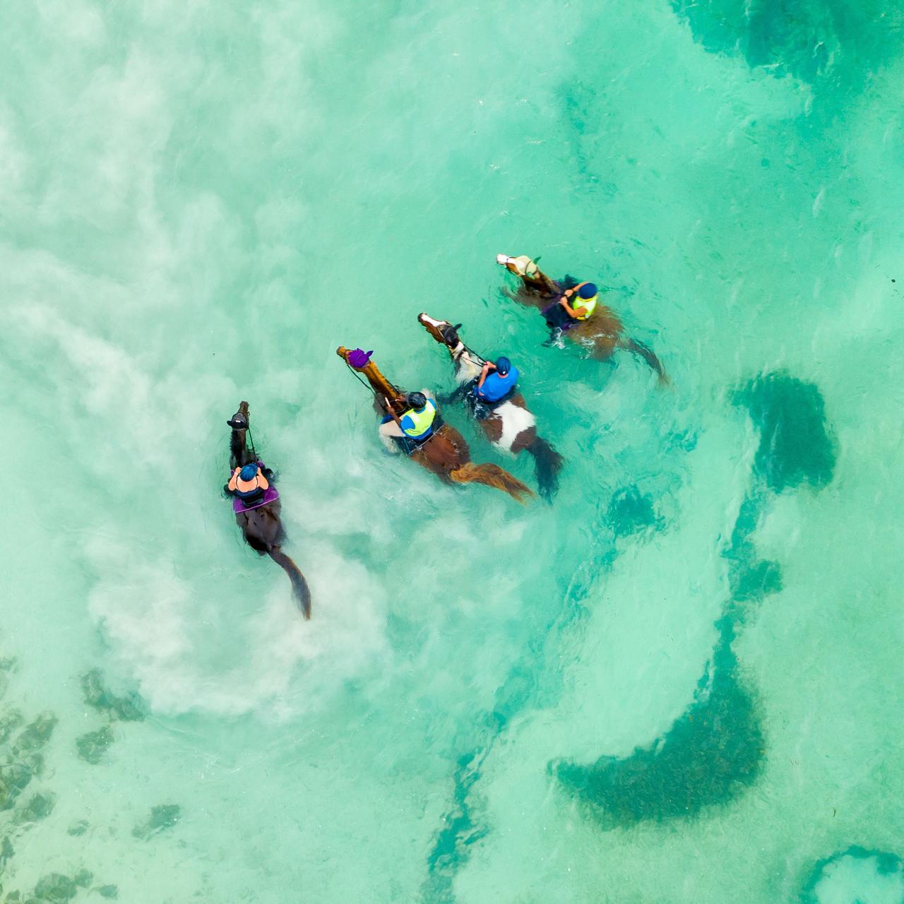 Four riders on horseback, standing in the shallow beach waters of Mustique 