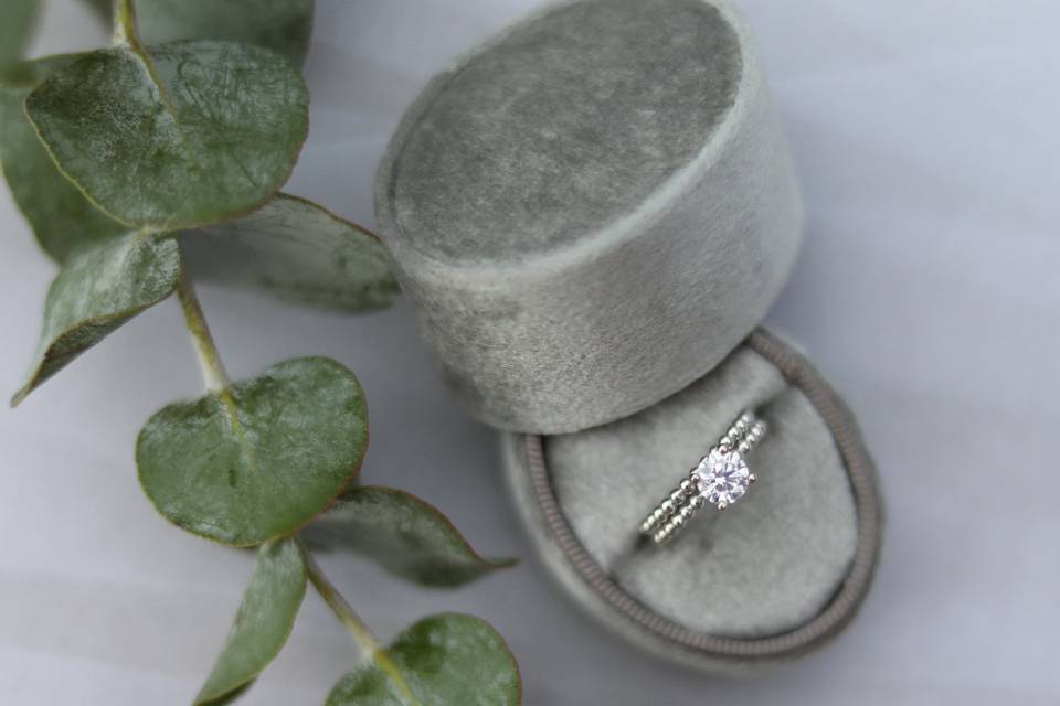 An engagement ring in a grey velvet box on a white background with leaves around it