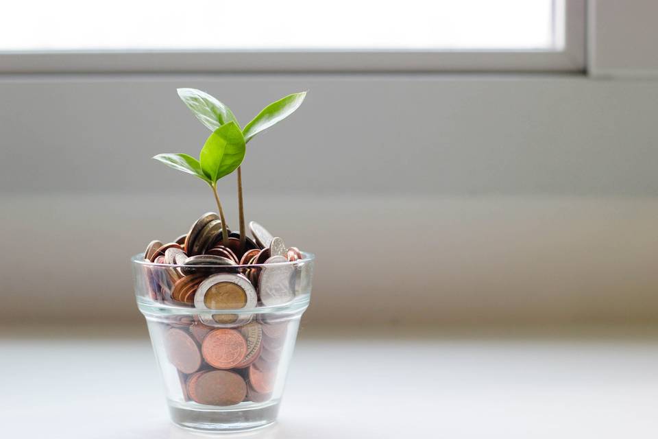 A sprig of a plant growing from a glass of coins