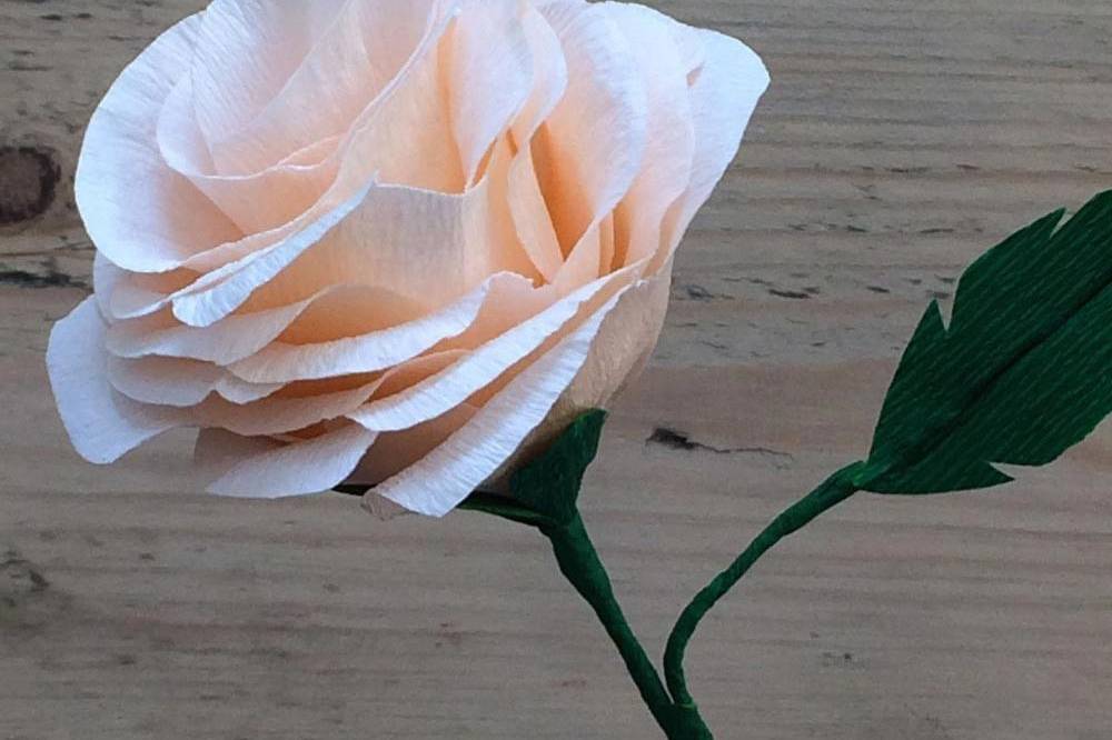 how to wrap a single rose in paper - Google 搜索  Diy bridesmaid gifts, How  to wrap flowers, Diy flowers