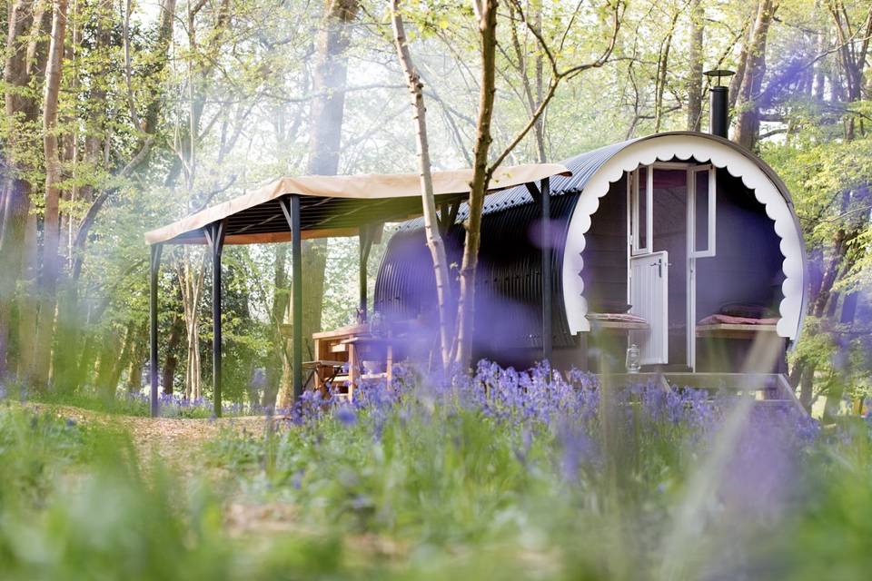 Romantic UK cabin rental surrounded by forest and bluebells