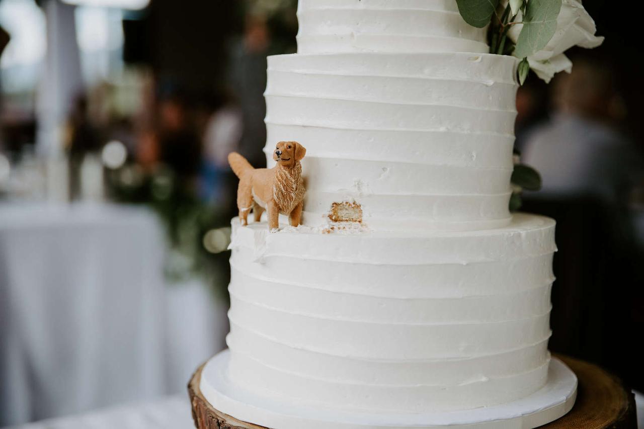 Simple wedding cake with a dog eating the icing