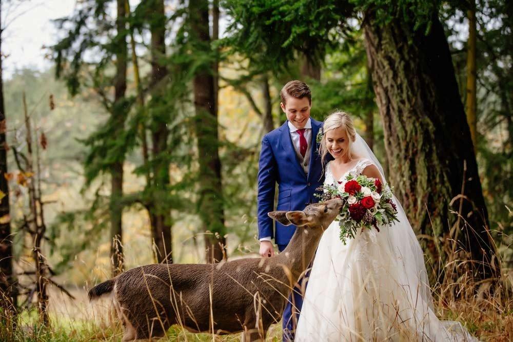deer-photobomb-wedding