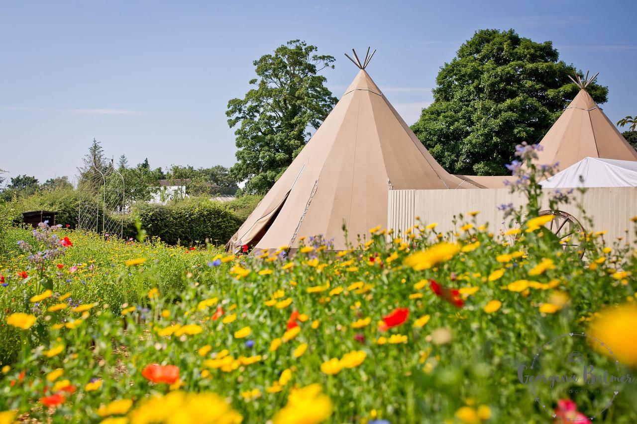 Tipi Venue surrounded by wild flowers