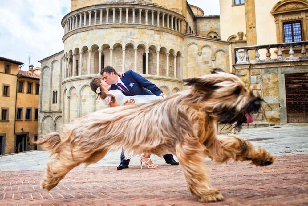 dog-running-wedding