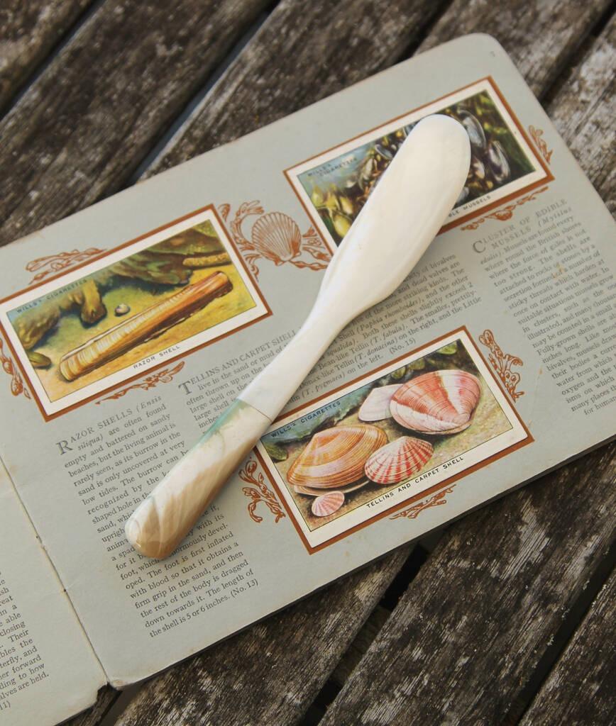 Mother Of Pearl Shell Butter Knife