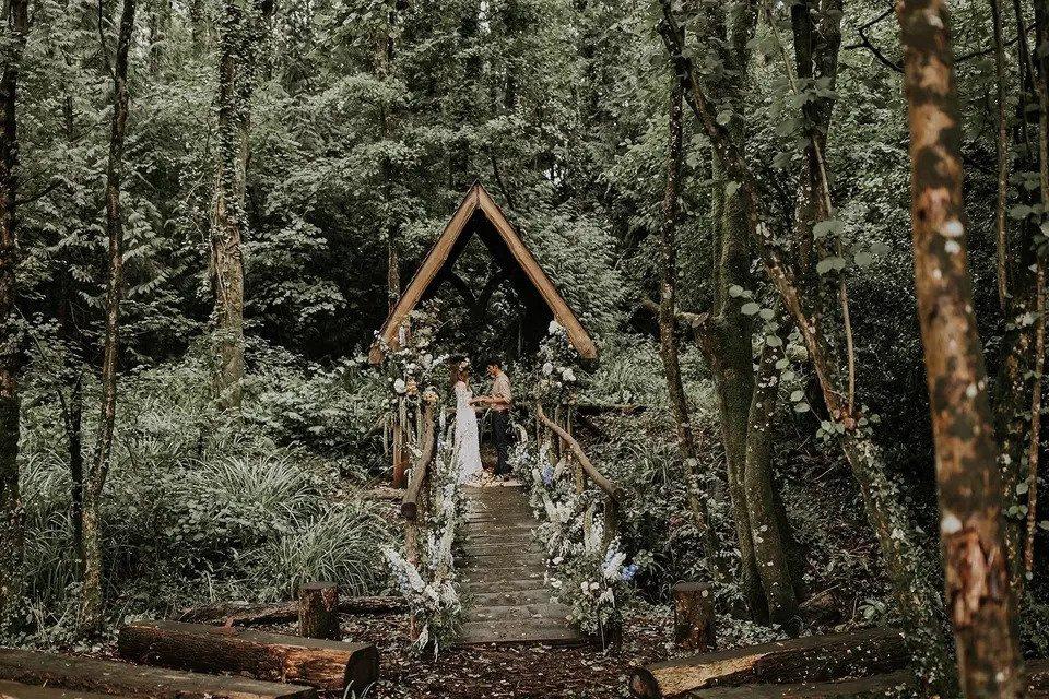 enchanted forest wedding ceremony