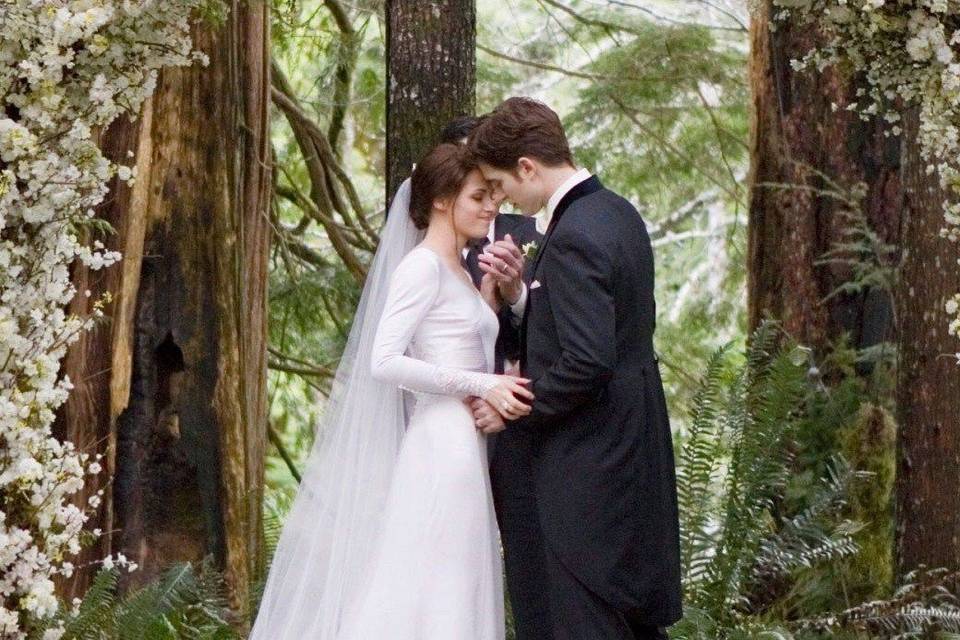 Bella Swan from Twilight s Wedding Dress hitched hitched