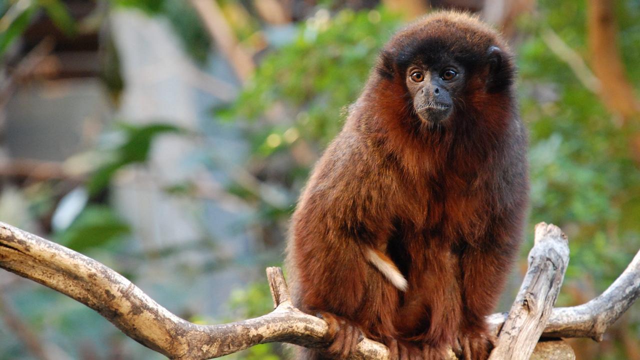 Gifts for Your Husband 2021