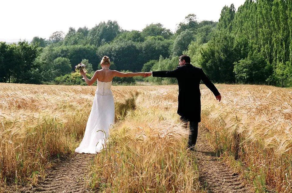 Bride and groom walk through a wheat field towards a forest holding hands