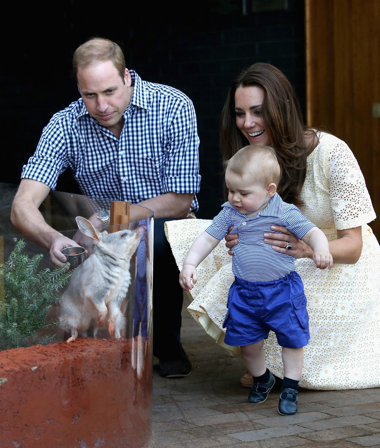 Kate Middleton and Prince William play with George at the zoo