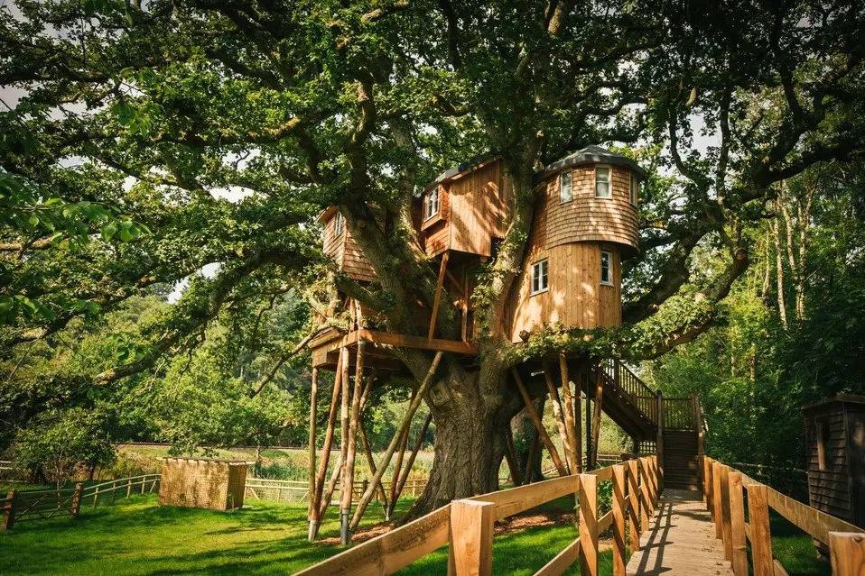 Large treehouse venue in a field photographed from a walkway below