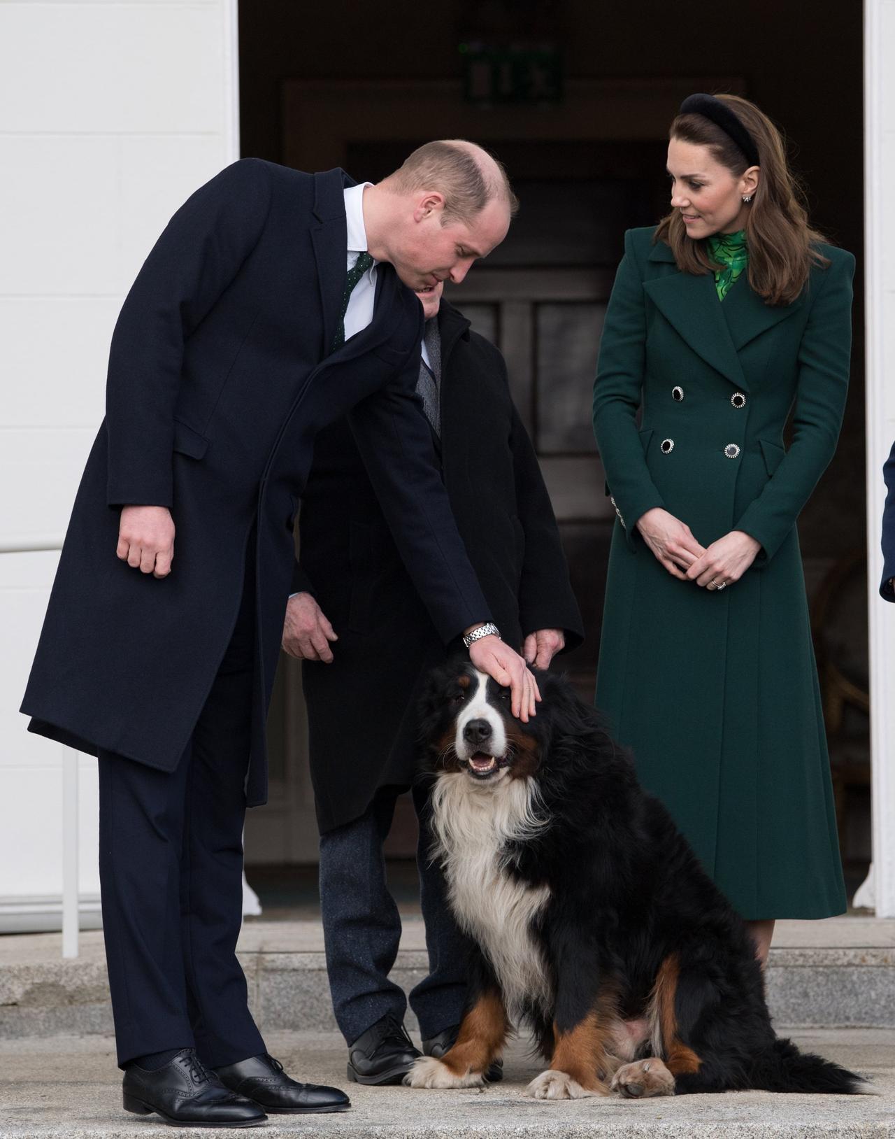 Kate Middleton and Prince William pet a dog
