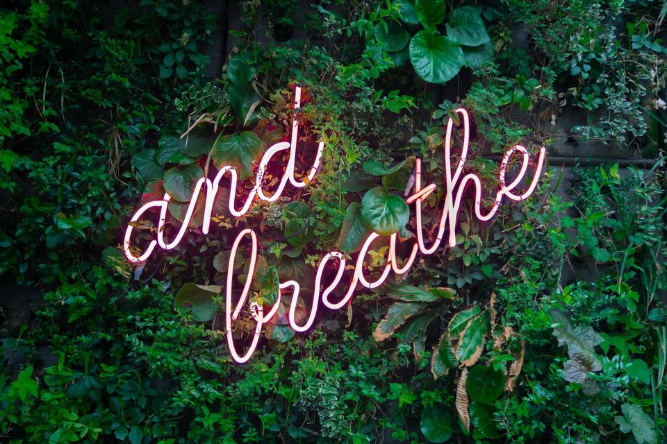 Neon 'and breathe' sign on a green leafy wall