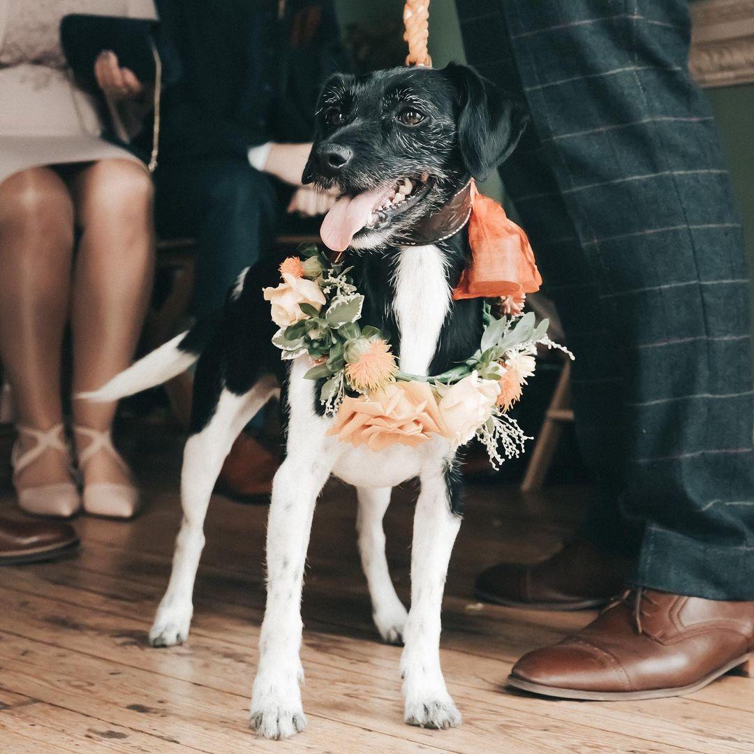 Flower Girls: Everything You Need to Know