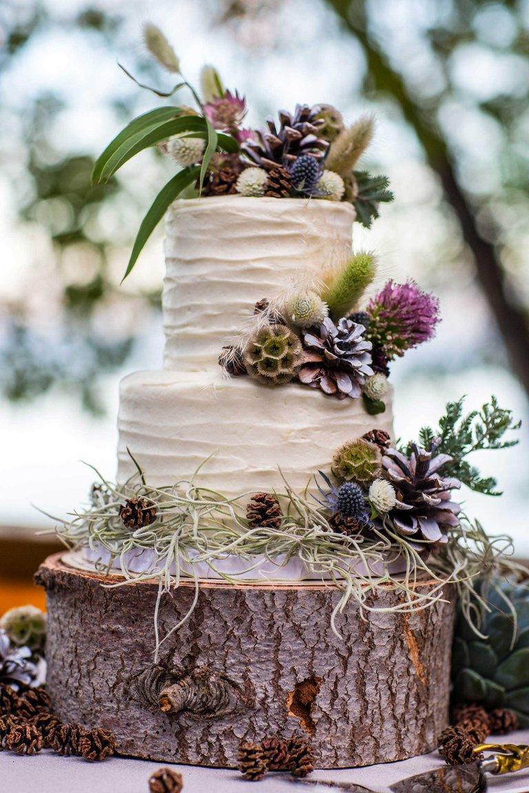 Two tiered white rustic wedding cake with pinecones on log stand