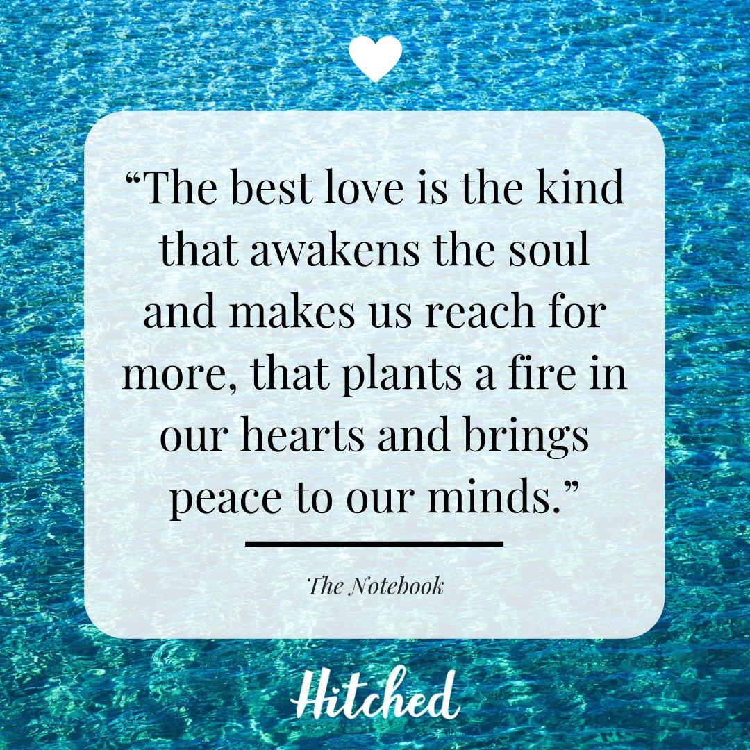 50+ Beautiful True Love Quotes to Appreciate Love In All Of Its Forms