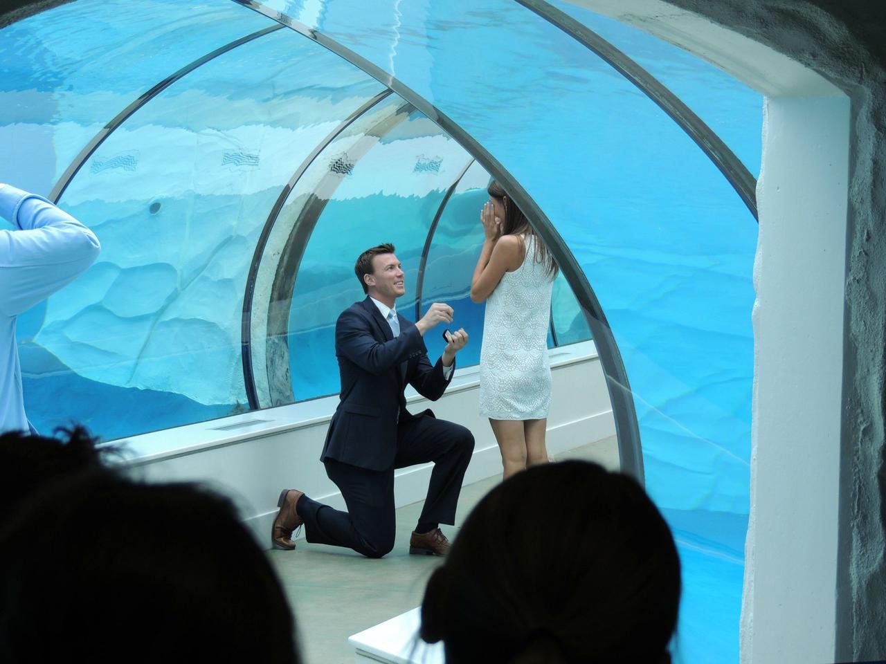 Proposal Ideas