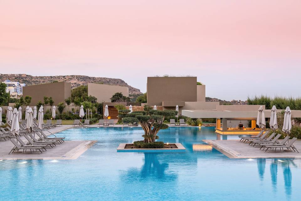 A rectangular swimming pool at Amada Colossos hotel with an olive tree in the middle and mountains in the background