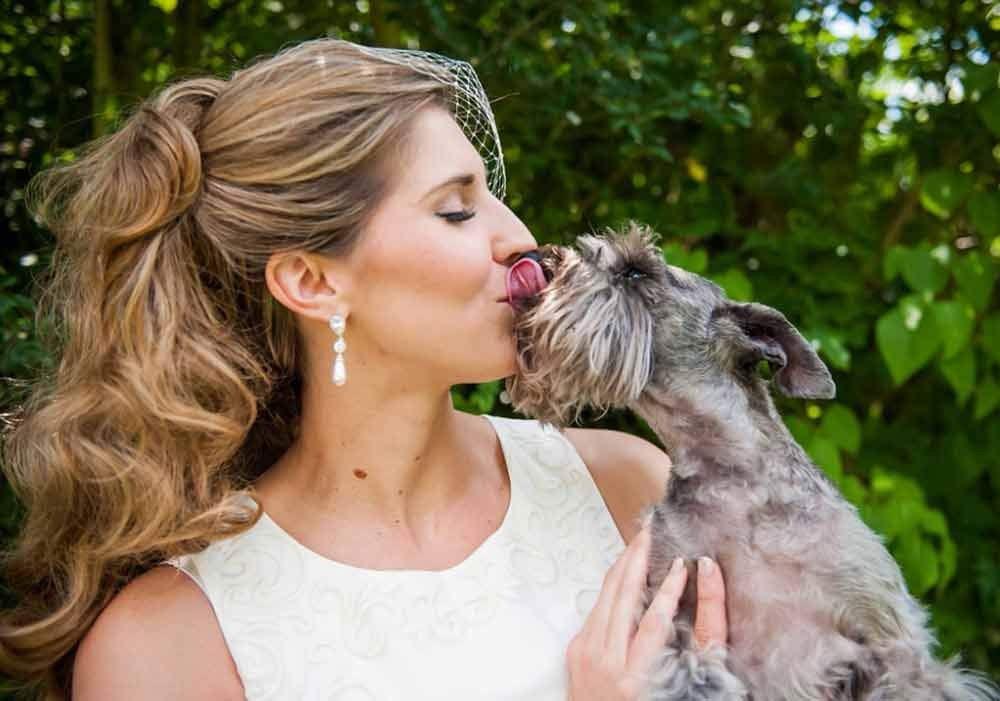 4 Things To Consider Before Including Your Dog In Your Wedding