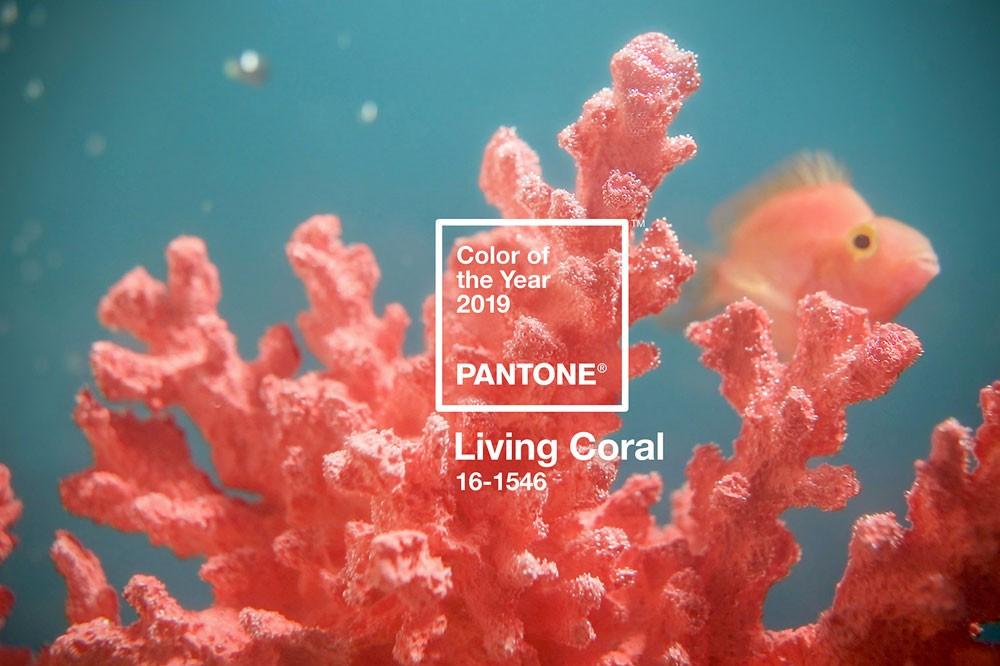 coral-wedding